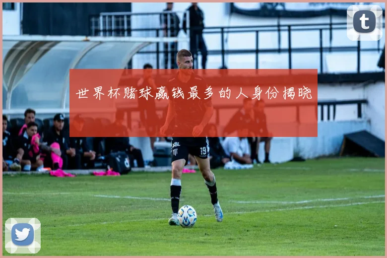 世界杯赌球赢钱最多的人身份揭晓