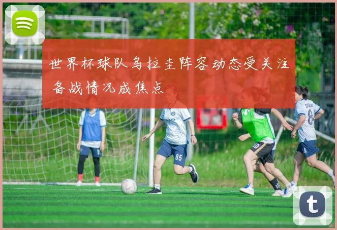 世界杯球队乌拉圭阵容动态受关注 备战情况成焦点