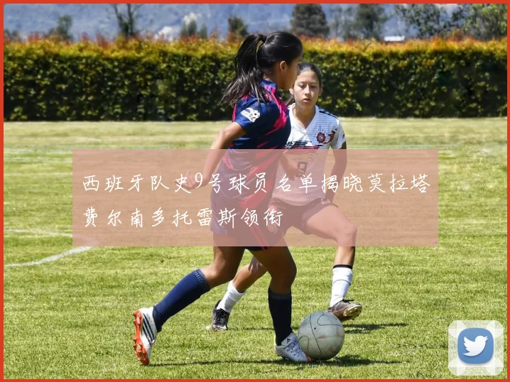 西班牙队史9号球员名单揭晓莫拉塔费尔南多托雷斯领衔