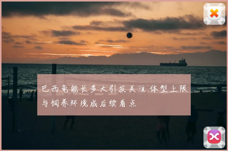 巴西龟能长多大引发关注 体型上限与饲养环境成后续看点