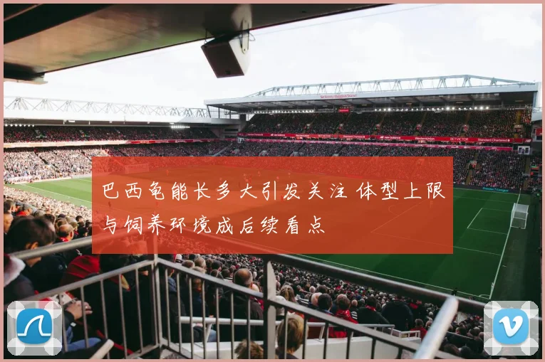 巴西龟能长多大引发关注 体型上限与饲养环境成后续看点