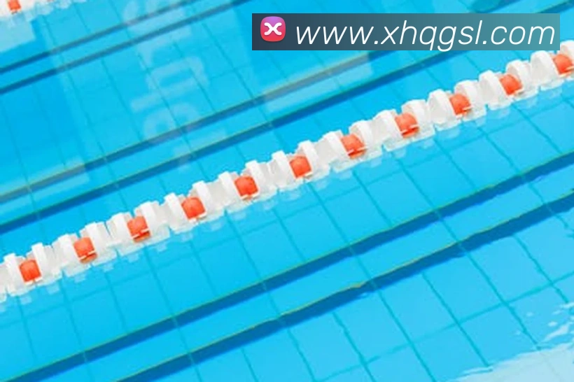 App Interface Preview