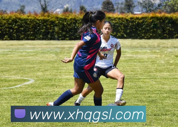 开云手机入口APP 封面图